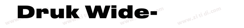 称 Druk Wide字体转换